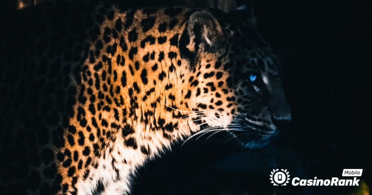 Yggdrasil Ortakları ReelPlay, Jaguar SuperWays'i Bad Dingo'dan Çıkaracak