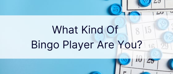 Ne Tür Bingo Oyuncususun?